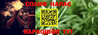мяу мяу мука Малгобек