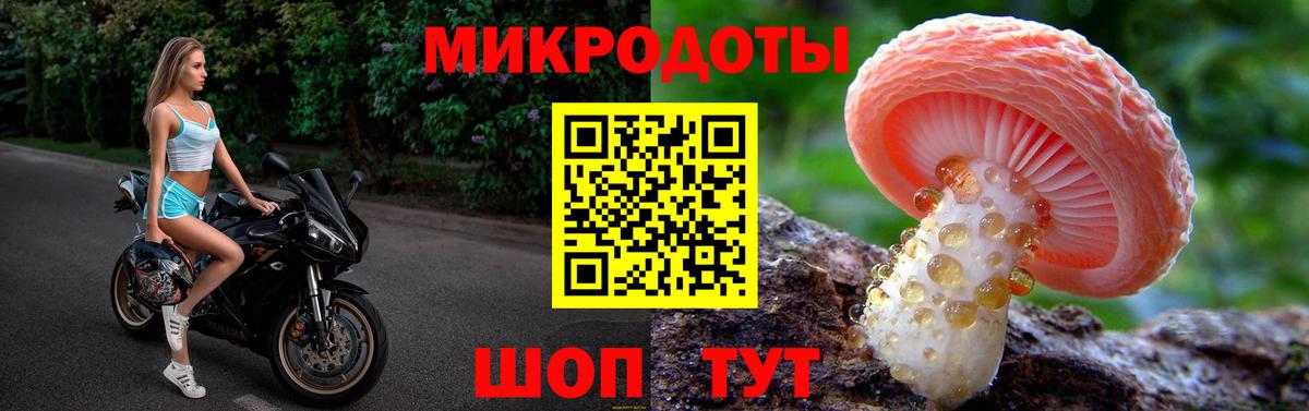 Псилоцибиновые грибы Psilocybine cubensis Грязи